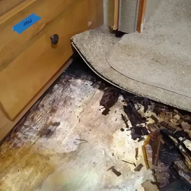 Wood Floor Water Damage in San Luis, AZ